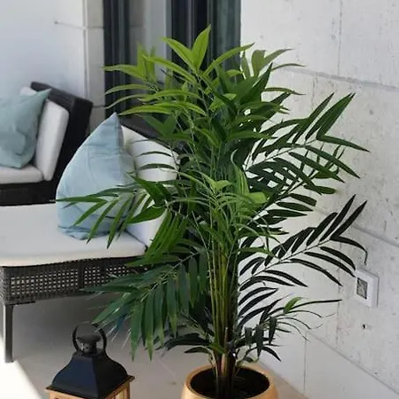 Ivona - Beautiful Terrace And Free Garage Parking * 扎达尔