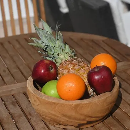 Ivona - Beautiful Terrace And Free Garage Parking